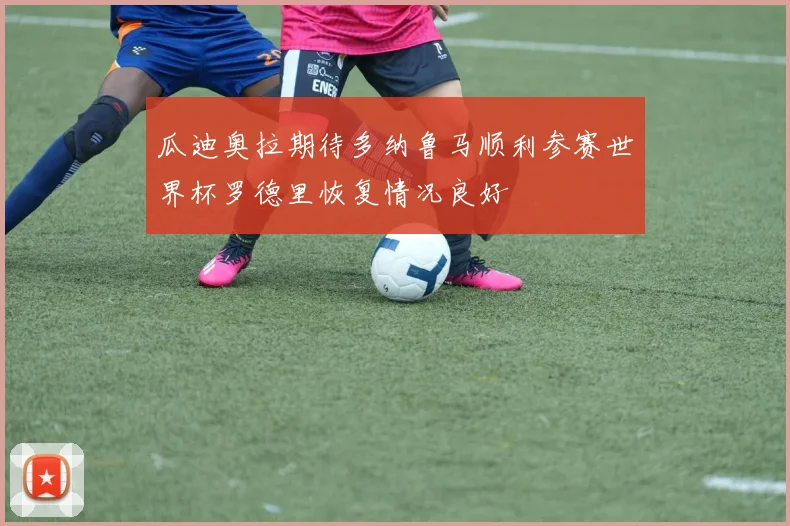 瓜迪奥拉期待多纳鲁马顺利参赛世界杯罗德里恢复情况良好