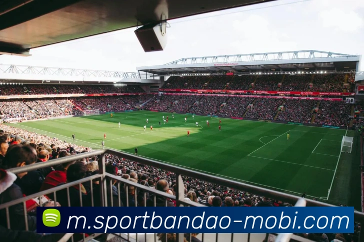 App Interface Preview