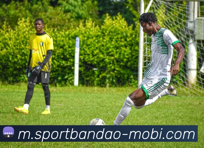 半岛体育APP 封面图